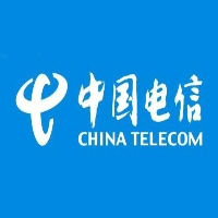 中国电信集团有限公司渤海新区分公司